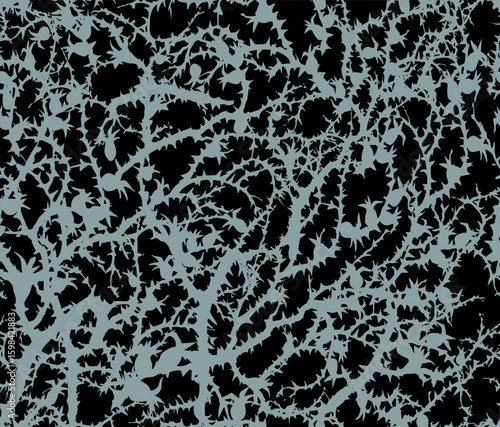 Branches of Blackthorn. Vector drawing