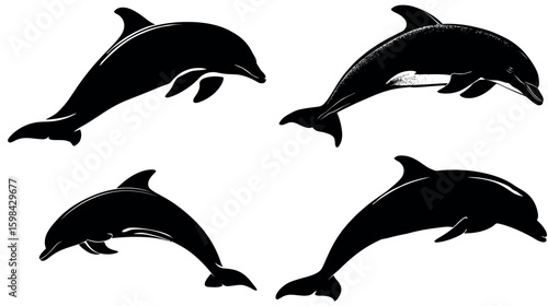 Four black dolphin silhouettes jumping marine life ocean animal aquatic mammal sea creature vector art design