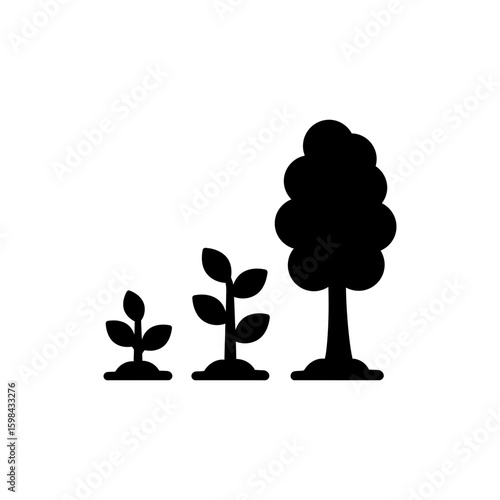  Maturity Black Filled Icon Young Plant Growing into Tree