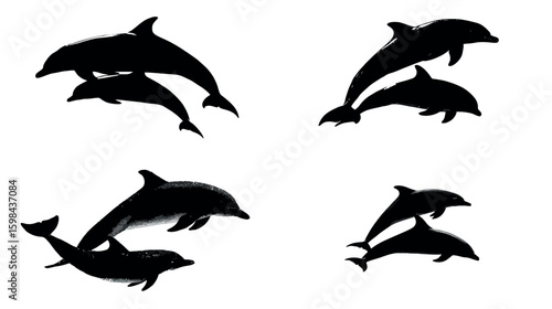 Dolphin silhouette ocean animals marine life sea creatures underwater world aquatic mammals black and white art 100