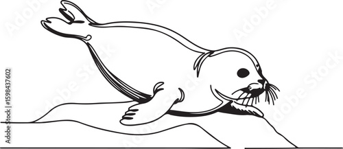 Line art of a playful baby seal sliding on ice, minimal details with bold black lines, white background,