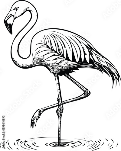 Elegant Flamingo Serenade: Hand-Drawn Water Bird