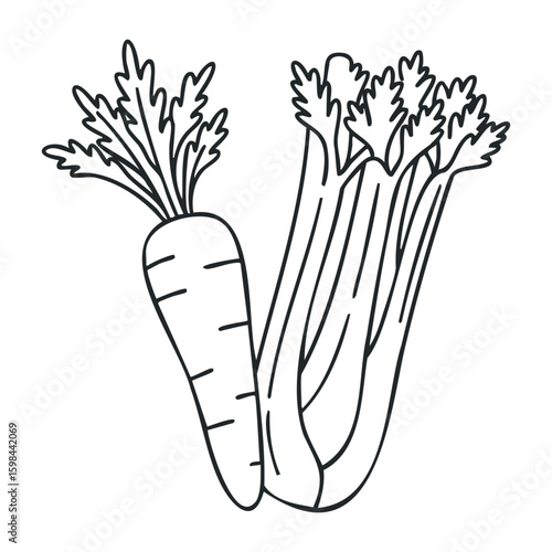 Black and white line art of carrot and celery vegetables with leaves. Vector illustration