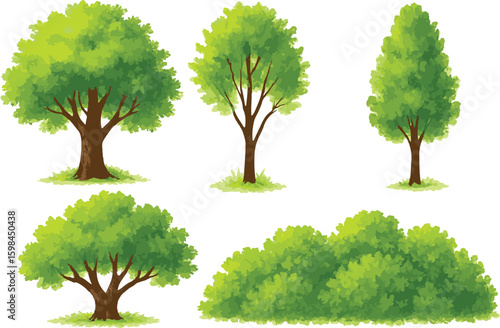 Vector Trees and Bushes Set, Green Foliage Elements for Landscape, Garden and Architecture Design