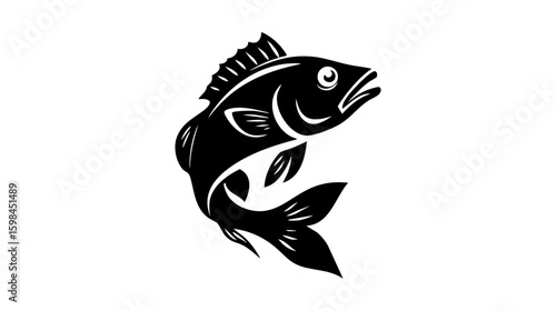 Tilapia fish vector illustration design, illustration isolated  on a white background.