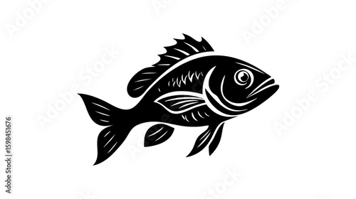 Tilapia fish vector illustration design, illustration isolated  on a white background.