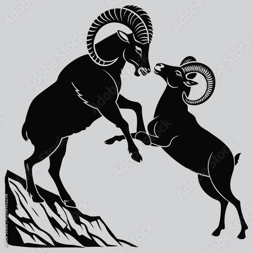 Bighorn Sheep Ramming Horns in Battle silhouette vector design art and illustration