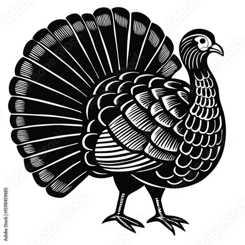 Stylized black turkey fan tail bird fowl