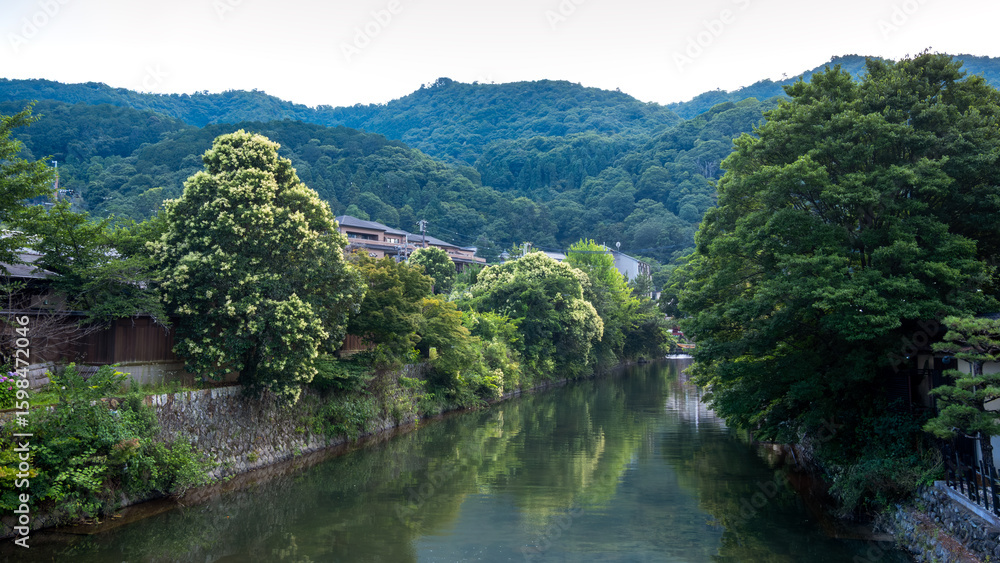 Fototapeta premium A calm river flows through a quiet district in Kyoto, Japan, bordered by stone walls, blooming trees, and traditional houses.