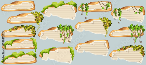 Wooden signboards with old paper, stems ivy, liana, grapes, vine, swamp moss, forest lichen. Set isolated wooden elements with blank, with school page in line, ragged graph paper. 