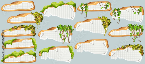 Wooden signboards with old paper, stems ivy, liana, grapes, vine, swamp moss, forest lichen. Set isolated wooden elements with blank, with ragged square graph paper, school math sheet. 