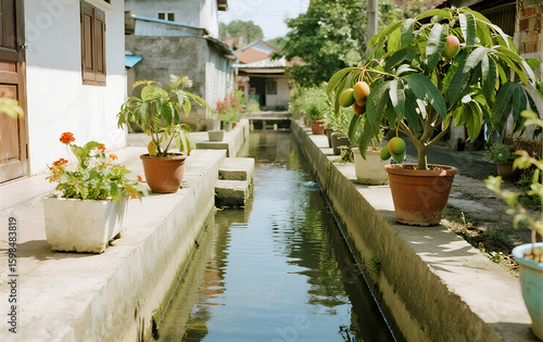 Fototapeta Naklejka Na Ścianę i Meble -  terrace with flowers and plants