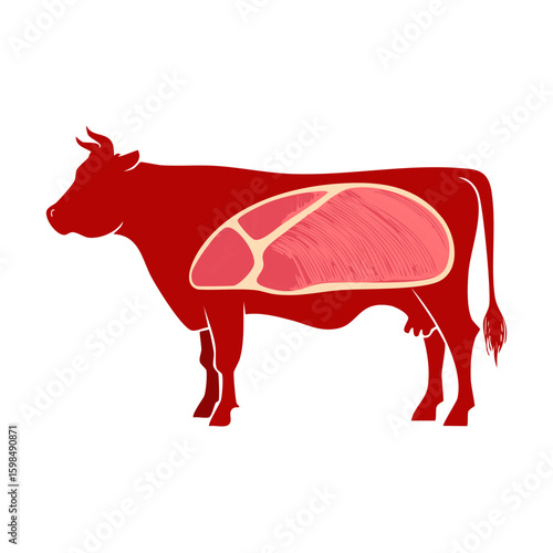 Butchery cuts diagram illustration, beef primal cuts on red cow body