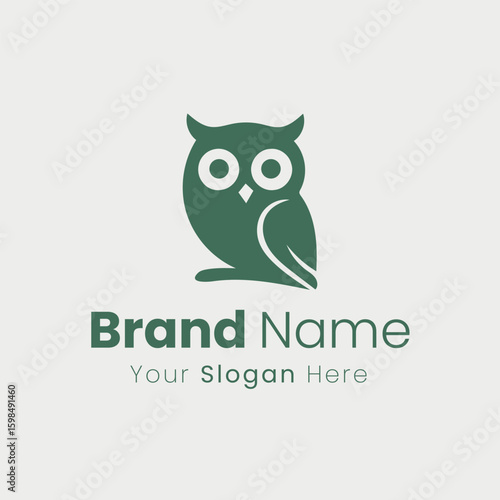 Professional Owl Logo Design for a Modern Brand Identity Business
