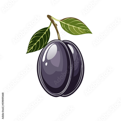 Illustration of Fresh Dark Plums with Leaves and Stem, Vector Graphic