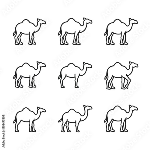 Collection of hand drawn dromedary camels isolated on white background
