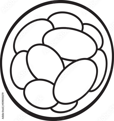 Early Human Embryo Development: Blastocyst Stage Illustration