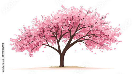 Stunning Cherry Tree Isolated on White Background