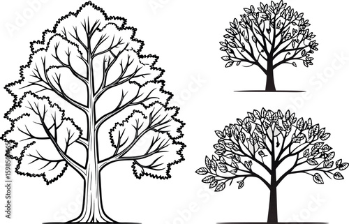 Three black and white line art trees diverse species
