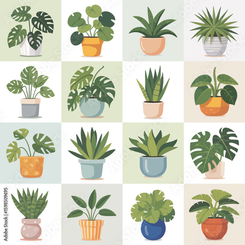 Collection of various houseplants in colorful pots arranged in a grid pattern