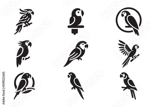 Parrot silhouette vector illustration Set