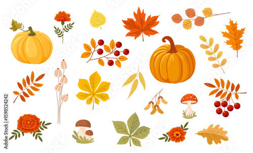Autumn decor set - leaves, pumpkins, flowers, berries and mushrooms. Collection of autumn leaves and fruits for pattern, banner, sticker, greeting card. Flat vector illustration on white background.