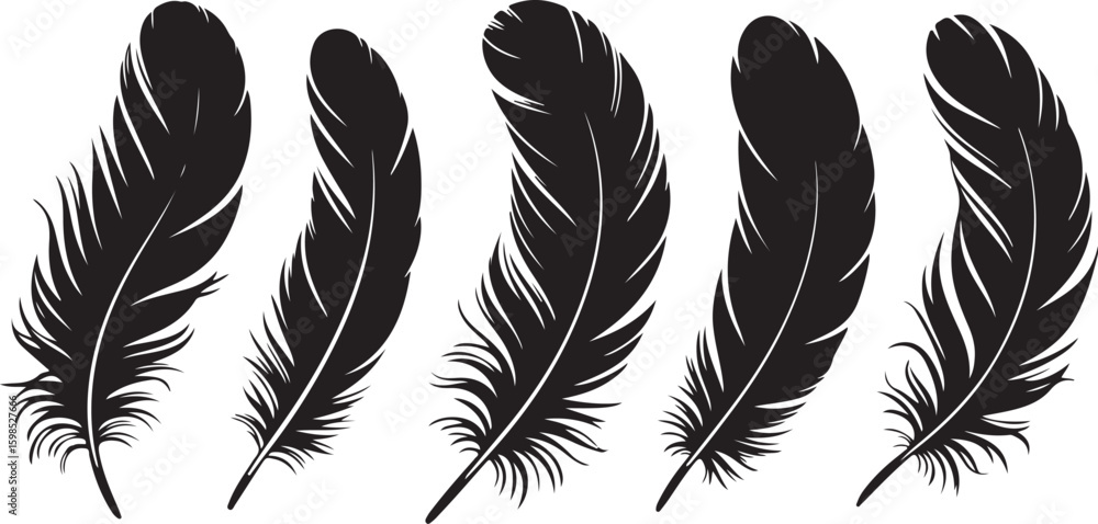 Obraz premium Feather vector illustration set with isolated bird quills and artistic design elements
