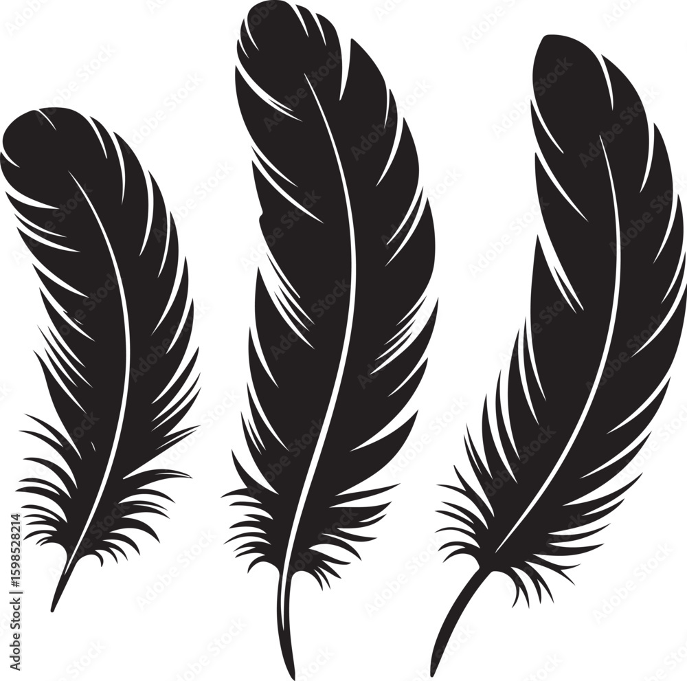 Obraz premium Feather vector illustration set with isolated bird quills and artistic design elements