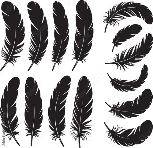 Bird Feather silhouette vector set. bird feather vector illustration icon isolated on white background