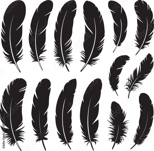Bird Feather silhouette vector set. bird feather vector illustration icon isolated on white background