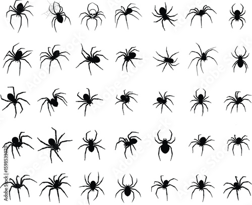 Spider Silhouette Vector Set Halloween Creepy Insect Clipart, Black Spider PNG for Scary Design .
