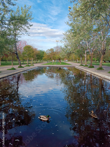 El espejo del parque