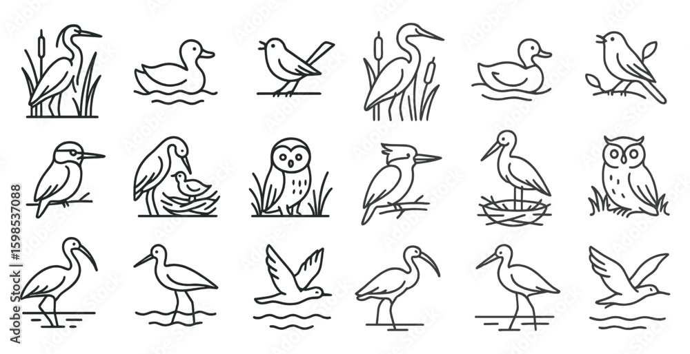 Fototapeta premium Set of bird illustrations in black and white. The birds are shown in various positions, with some flying and others resting. The overall mood of the images is peaceful and serene