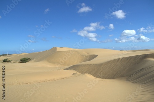 The Paraguaná Peninsula and Médanos de Coro National Park offer a fascinating combination of desert landscapes, coastal ecosystems, and historical significance.