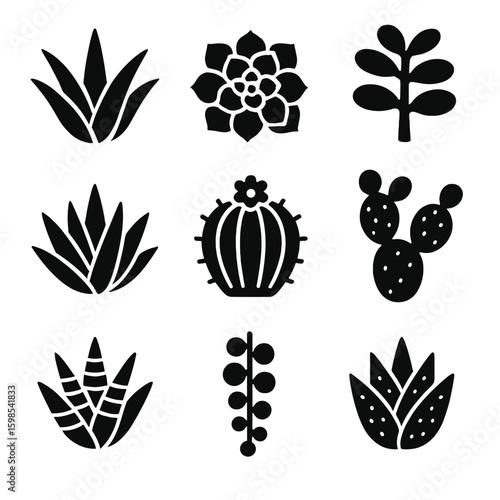Succulent and Cactus Icons. Solid style icons of succulent and cactus types: aloe vera, echeveria, jade plant, agave, barrel