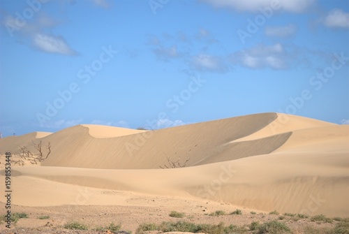 The Paraguaná Peninsula and Médanos de Coro National Park offer a fascinating combination of desert landscapes, coastal ecosystems, and historical significance.