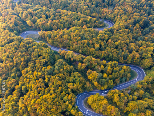 Serene winding road through vibrant autumn forest with golden leaves and soft sunlight