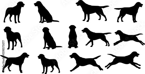 labrador retriever dog breed black silhouette logo set
