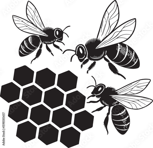 Stylized black and white illustration of honey bees and honeycomb on a white background