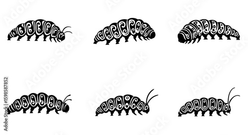 Wallpaper Mural Six artistic white caterpillar designs with intricate swirling patterns displayed against a transparent background Torontodigital.ca