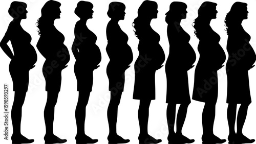 A horizontal sequence of eight pregnant female silhouettes, all in profile, wearing different maternity dresses. Their body postures subtly vary to express comfort or contemplation. The image is monoc