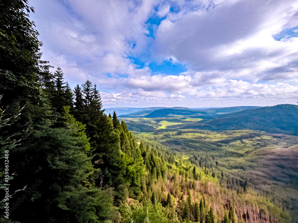 Fototapeta premium Densely forested hills under a blue sky – harmonious view over mountain and forest areas.