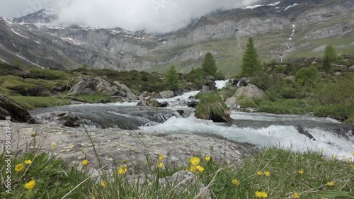 Wildbach bei Lazins in der Texelgruppe in den Bergen Südtirol Italien mit Wildblumen im Vordergrund Var. 15