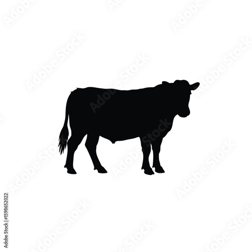 Black Silhouette of a Bull Standing Calmly on White Background Stock Vector Illustration for Ranching and Agricultural Projects