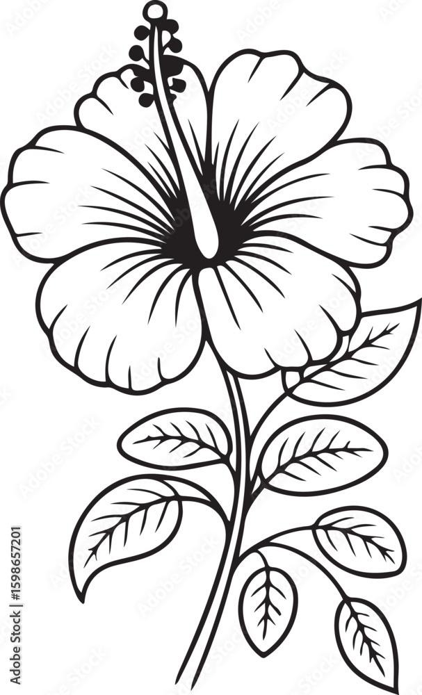 Obraz premium Minimalist Hibiscus Flower Line Art Vector for Botanical and Tattoo Design, hand draw 