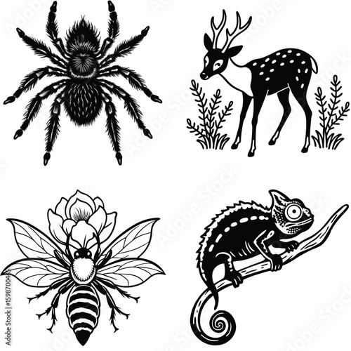 Vector art of a detailed black and white illustration of a tarantula spider with eight legs and a hairy body
