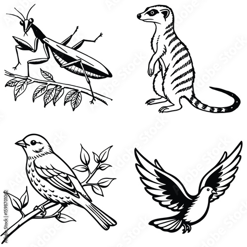 Vector art of a detailed black and white illustration of a praying mantis perched on a leafy branch showcasing its predatory stance and insect anatomy