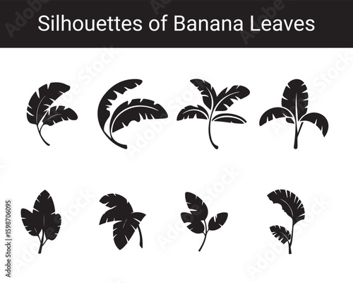 Banana Leaf Silhouette Vector Set – Tropical Black Leaf Icons for Design and Decoration