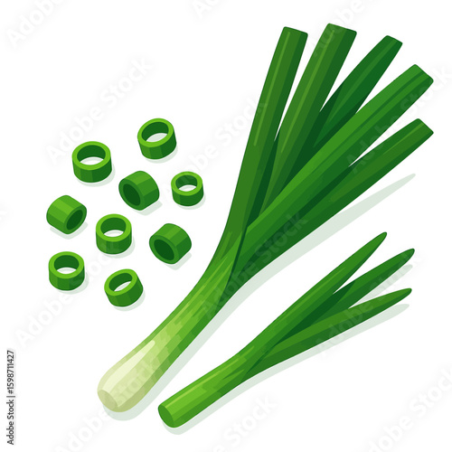 Green Onion Vector in Black and White – Minimal Line Drawing of Whole and Sliced Scallions with Long Green Stalks and White Bulbs for Culinary, Asian Cuisine, and Nutrition-Focused Design Themes