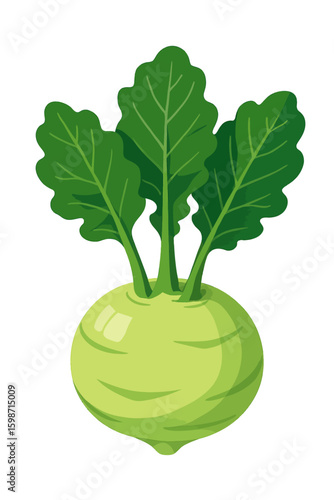 Vibrant Kohlrabi Bulb with Leaves - Healthy Garden Produce